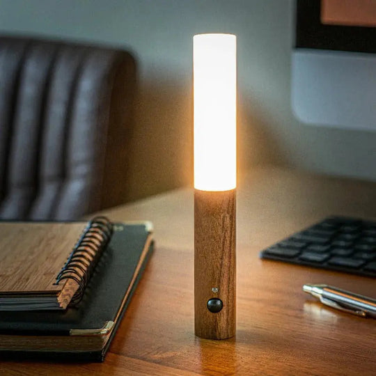 Sleek Motion Light