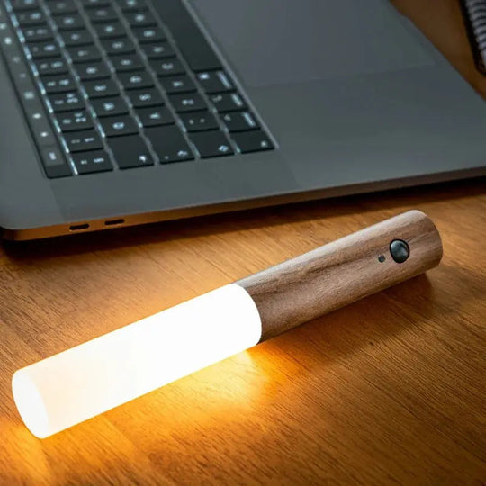 Sleek Motion Light